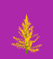greenshift tree