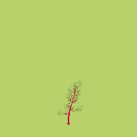 greenshift tree