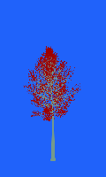 greenshift tree