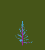 greenshift tree