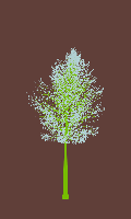 greenshift tree
