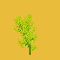 greenshift tree