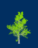 greenshift tree