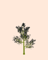 greenshift tree