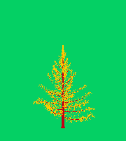 greenshift tree