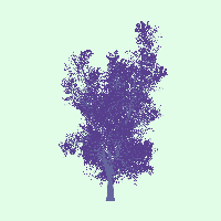 greenshift tree