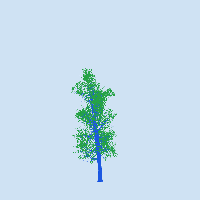 greenshift tree