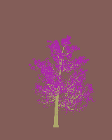 greenshift tree