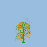 greenshift tree