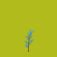 greenshift tree