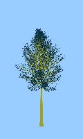 greenshift tree