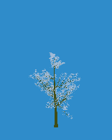 greenshift tree