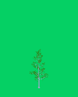greenshift tree
