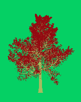 greenshift tree