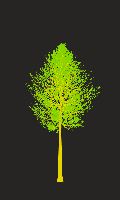 greenshift tree