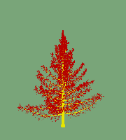 greenshift tree