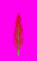 greenshift tree