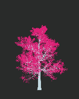 greenshift tree