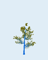 greenshift tree