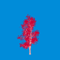 greenshift tree