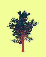 greenshift tree