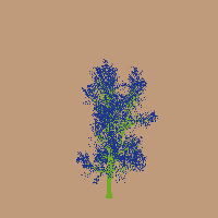 greenshift tree