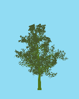 greenshift tree