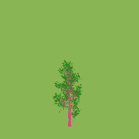 greenshift tree