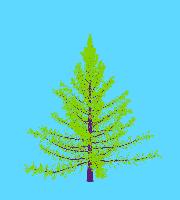 greenshift tree