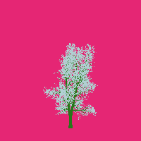 greenshift tree