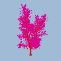 greenshift tree
