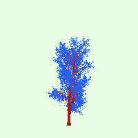 greenshift tree