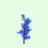 greenshift tree
