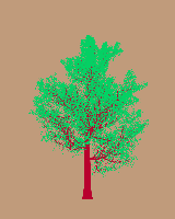 greenshift tree