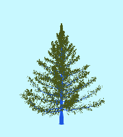 greenshift tree