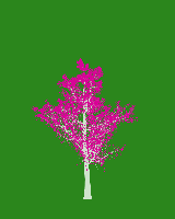 greenshift tree