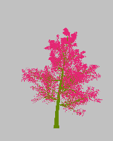 greenshift tree