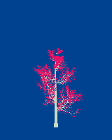 greenshift tree