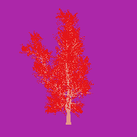 greenshift tree