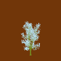 greenshift tree
