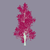 greenshift tree