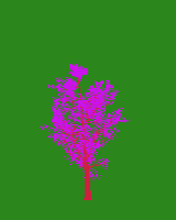 greenshift tree
