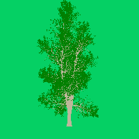greenshift tree