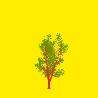 greenshift tree
