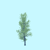 greenshift tree