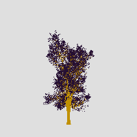 greenshift tree