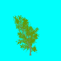 greenshift tree