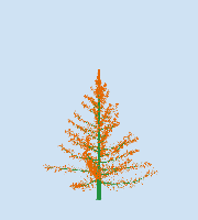 greenshift tree
