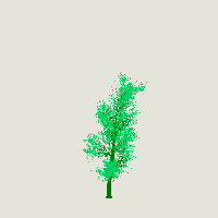 greenshift tree
