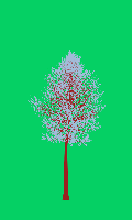 greenshift tree